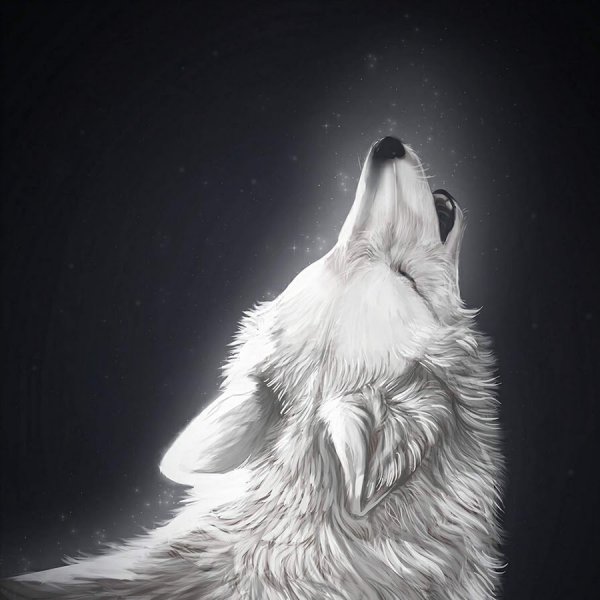 Воющий волк