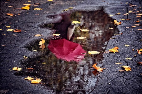 Осеннее отражение в лужах