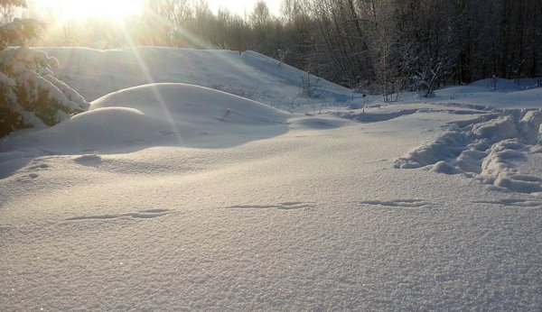 Снег блестит