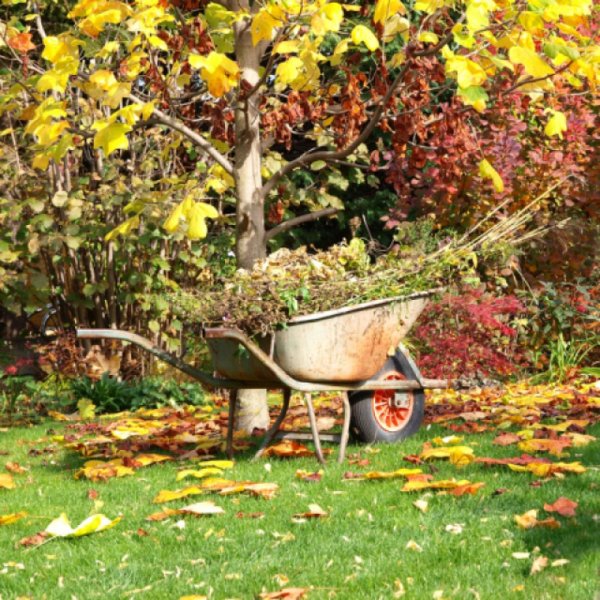 Осенние работы в огороде