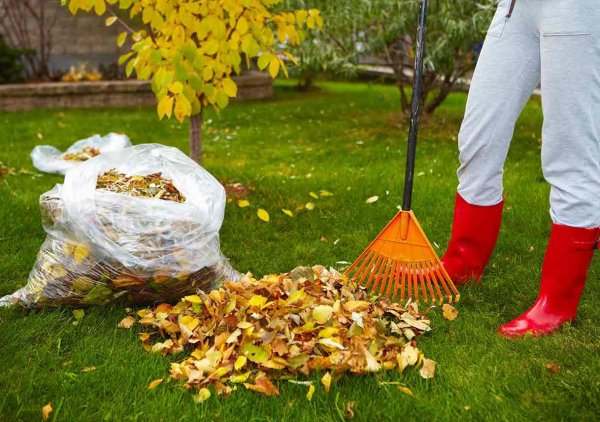 Уборка листьев в саду