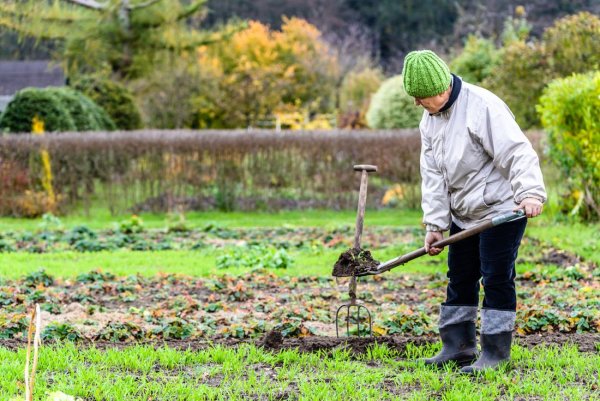 Уборка огорода