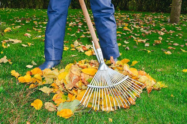 Грабли для уборки листвы с газона