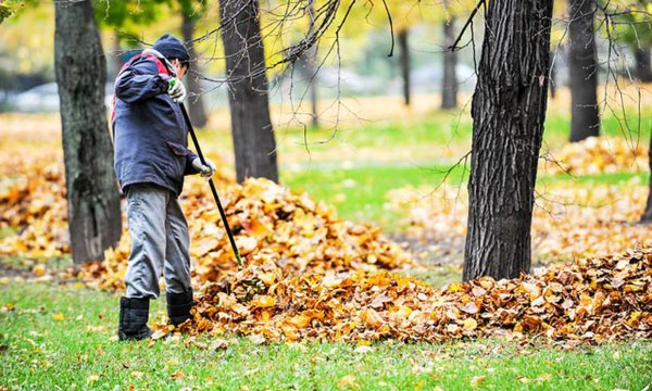 Уборка листвы