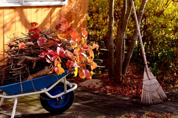 Осень в саду