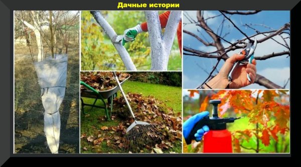 Осенние работы в саду