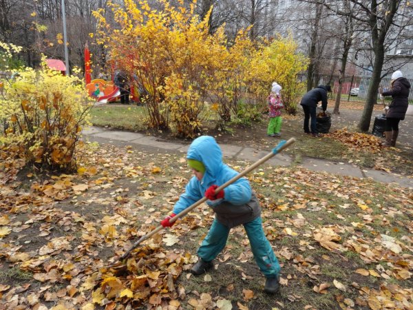 Субботник осенью