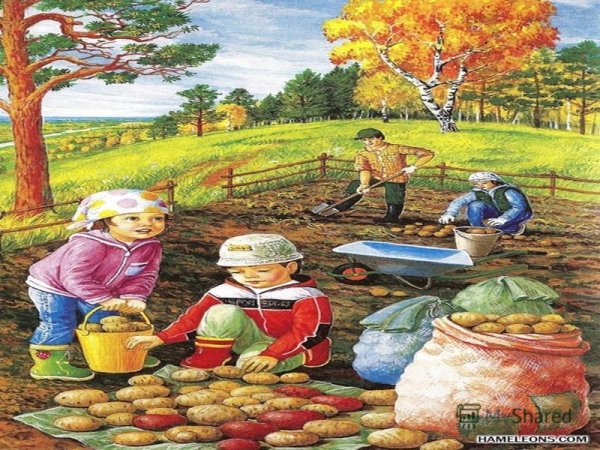 Сбор урожая для детей