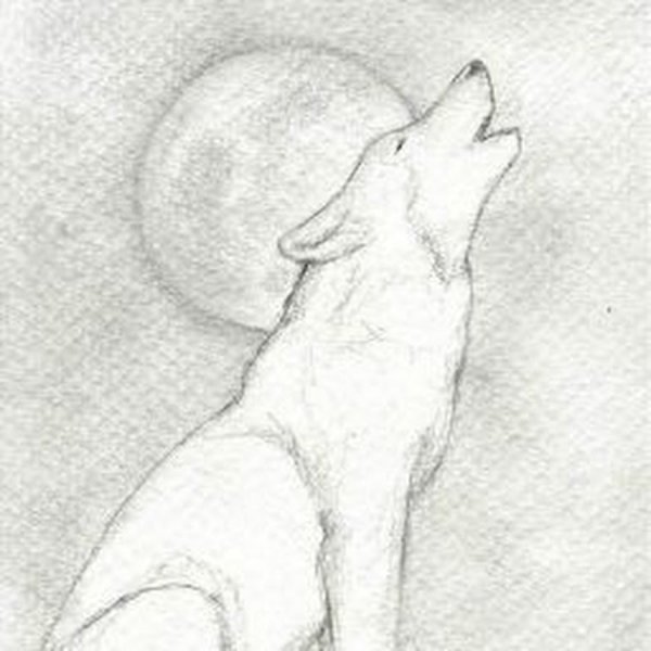 Рисунки карандашом