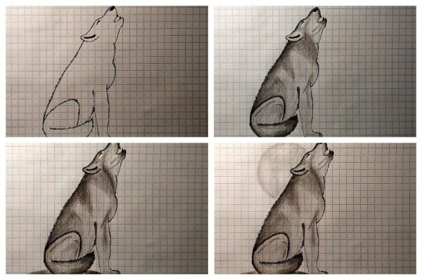 Рисуем воющего волка