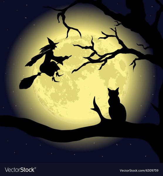 Кот на дереве и Луна