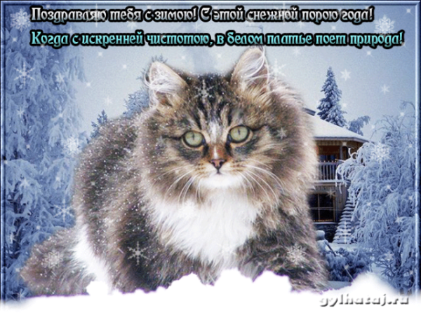 Поздравление с зимой