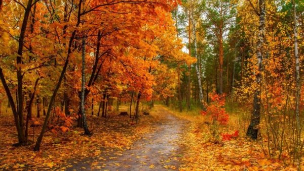 Александр Игнатьев художник пейзажист