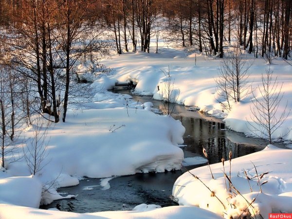 Ручьи весной