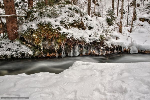 Ручеёк в зимнем лесу