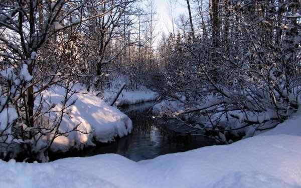 Ручей в лесу зимой