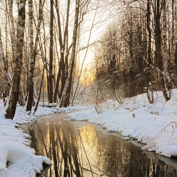 Зимний ручей