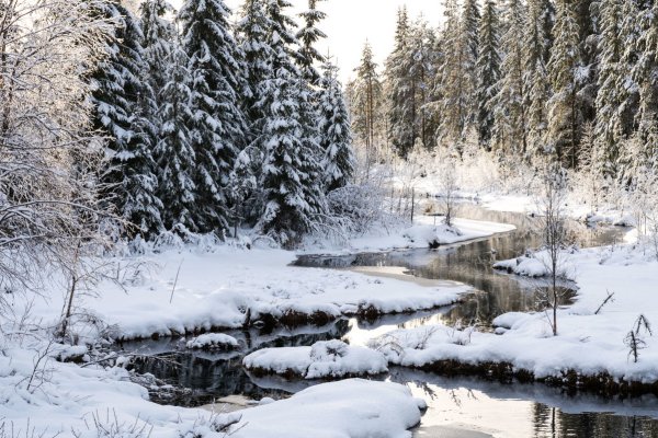 Зимний ручей в лесу