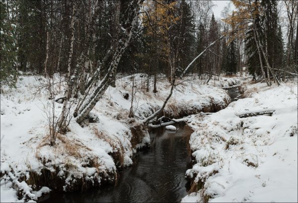 Ручей гоновский Радченко
