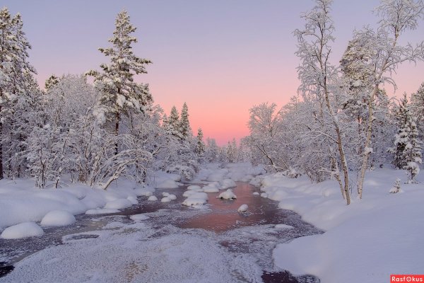 Ручей зима лес