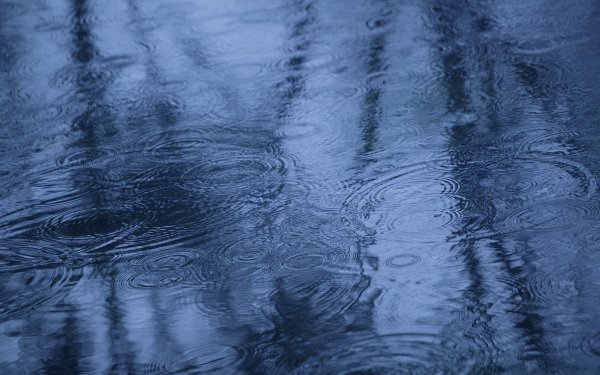 Лужа воды