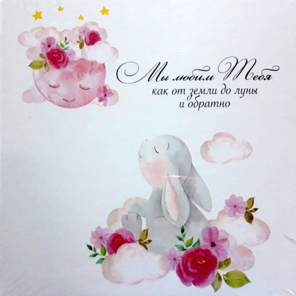 Люблю тебя от земли до Луны и обратно стих
