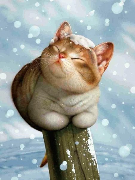 Макото Мурамацу кошки