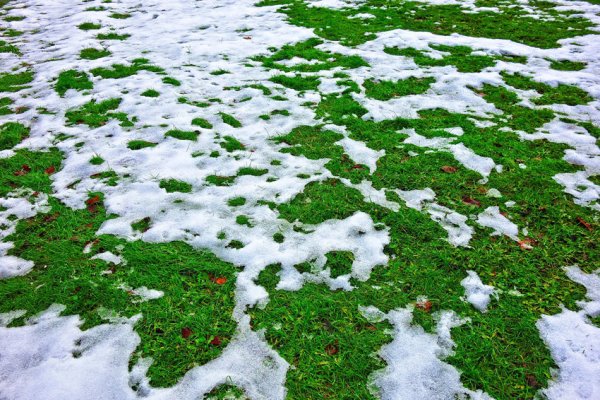 Подтаявший снег