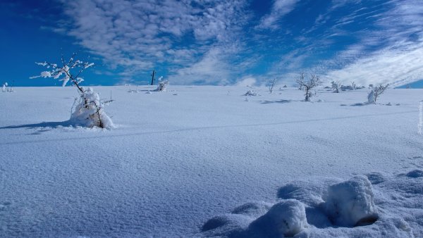 Снежная земля