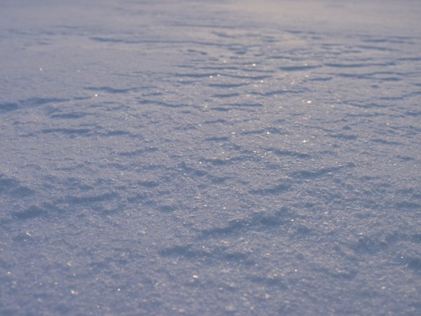 Наст на снегу