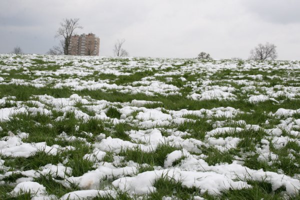 Снег на траве