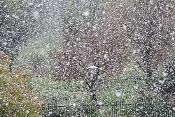 Снег кружит