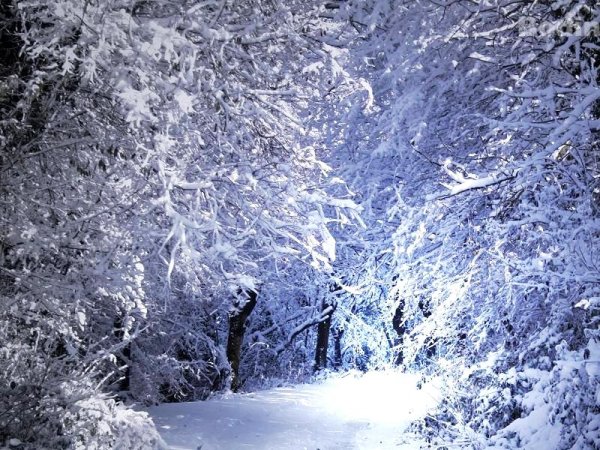 Снег кружит