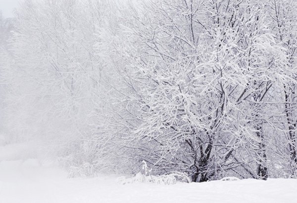 Белый снег идет