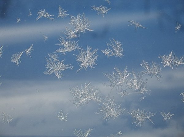 Снежинки в небе