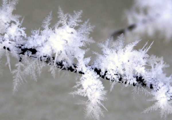 Снежинки пушистые в природе