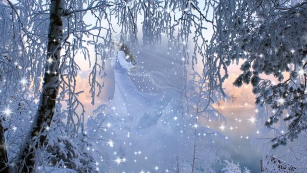 Зимний лес метель