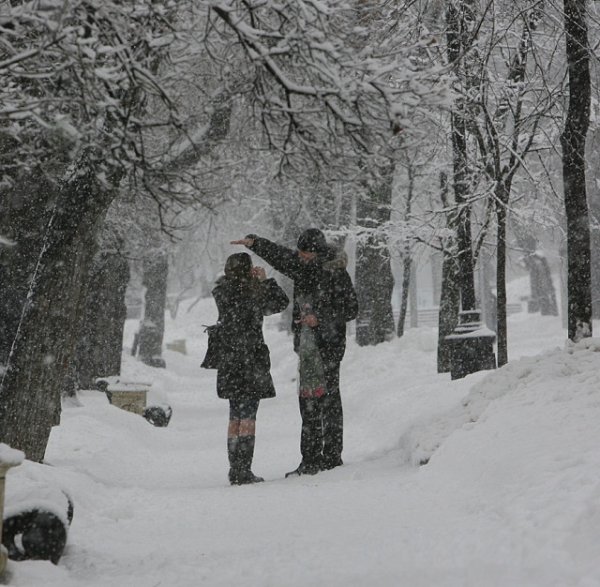 Закружила зима