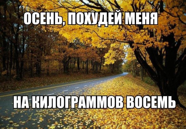 Осенние приколы с надписями