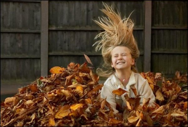 Про осень прикольные