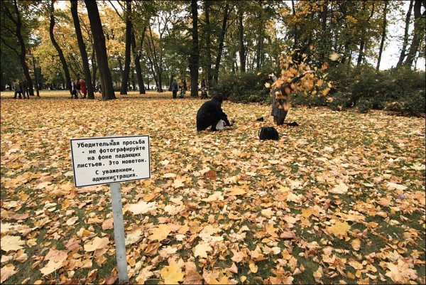 Осенние приколы с надписями