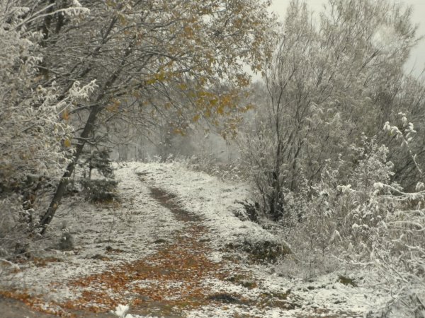 Поздняя осень