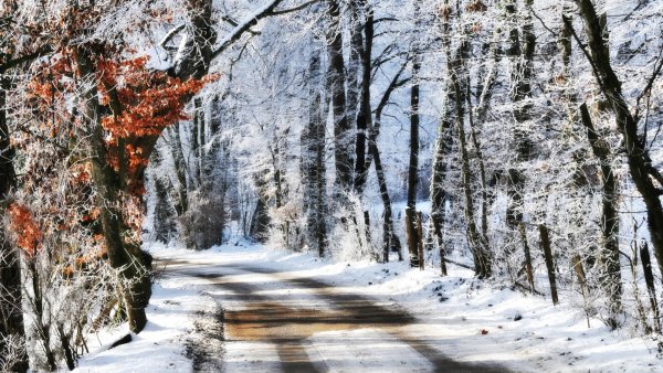 Ранняя зима