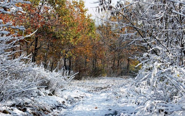 С началом зимы