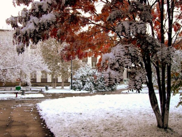 Ранняя зима в городе