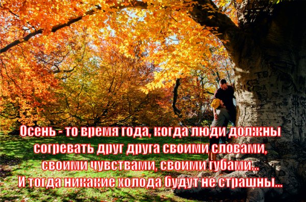 Осенние цитаты