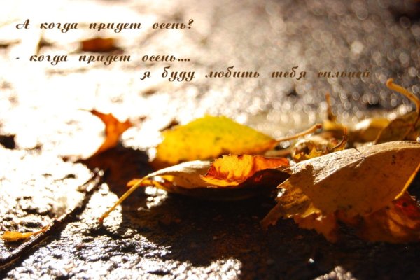 Фразы про осень