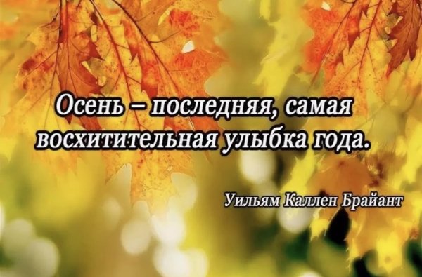 Осеннее настроение цитаты