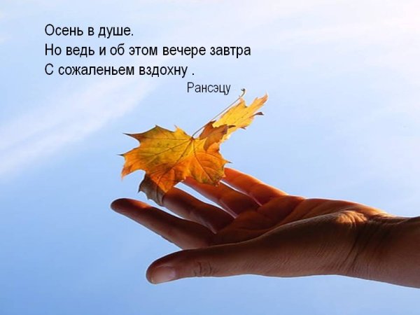 Осенние высказывания