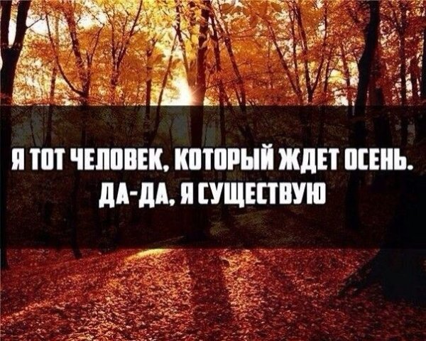 Люблю осень цитаты